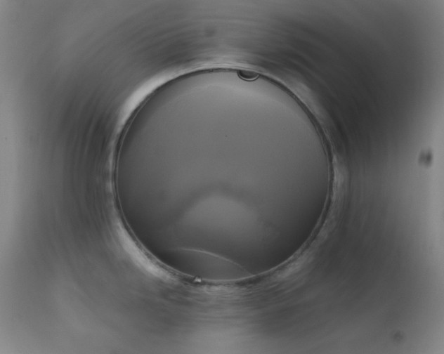 X0000111221246200907021327