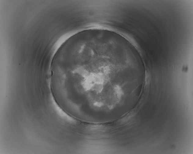 X0000111221247200907021327