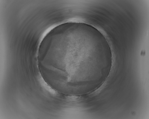 X0000111221248200907021327