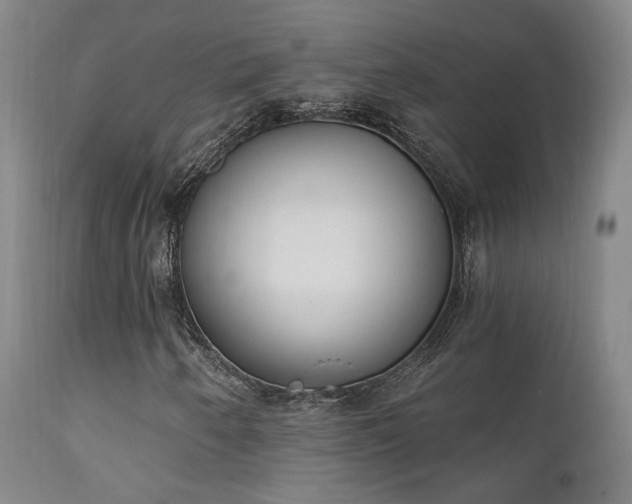 X0000111221250200907021326