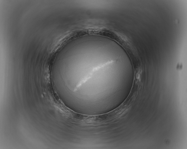 X0000111221252200907021326