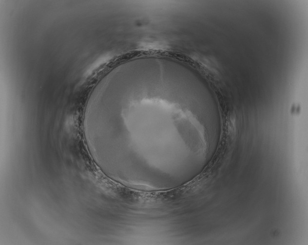 X0000111221254200907021326