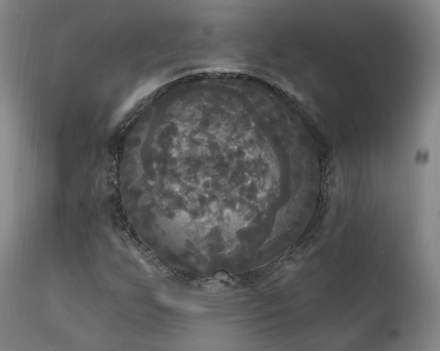 X0000111221255200907021326