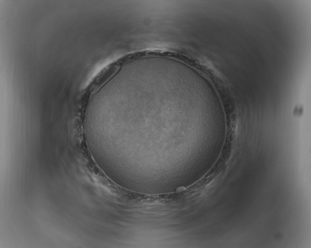 X0000111221256200907021326