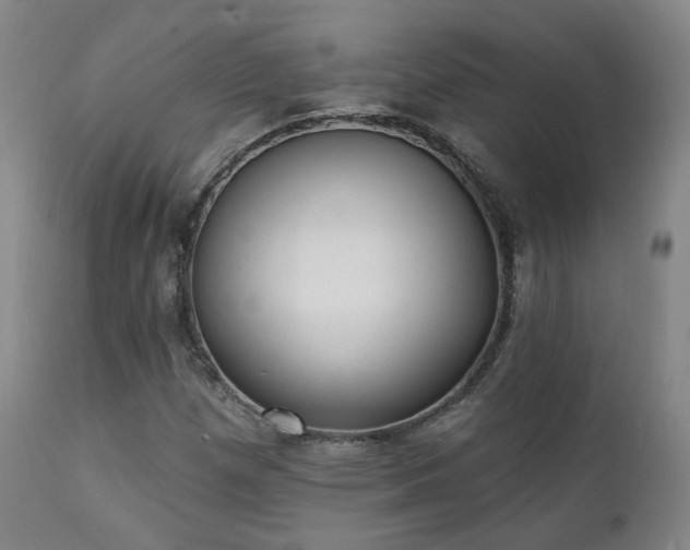 X0000111221257200907021326