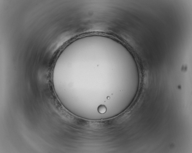 X0000111221258200907021326