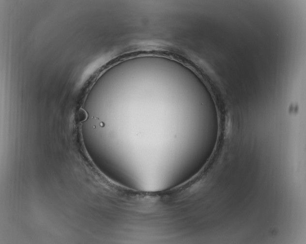 X0000111221261200907021326
