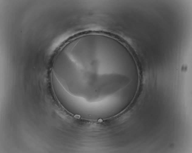 X0000111221263200907021326