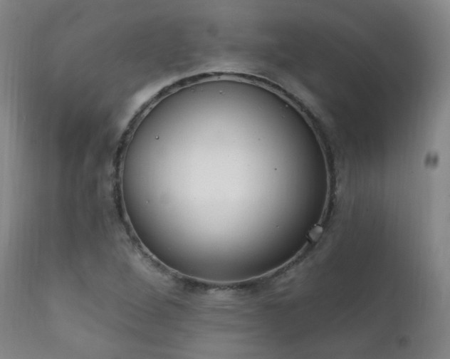 X0000111221264200907021326