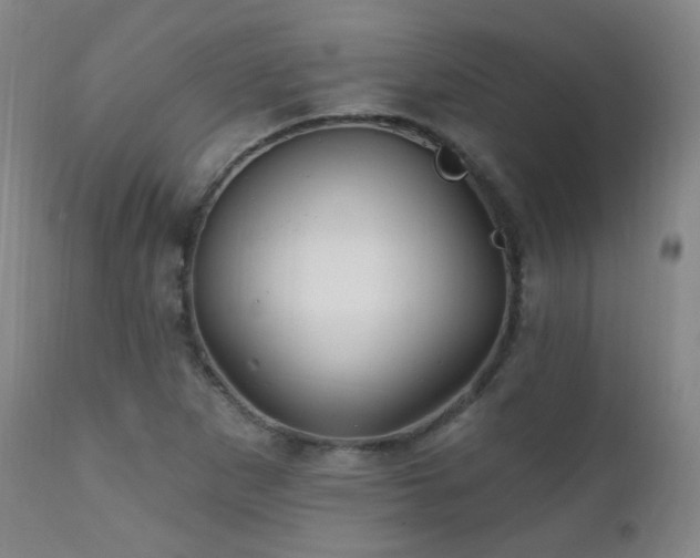 X0000111221265200907021326