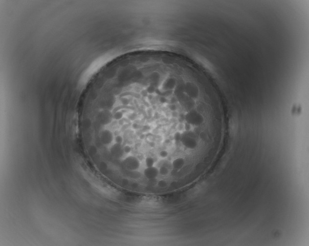 X0000111221267200907021326