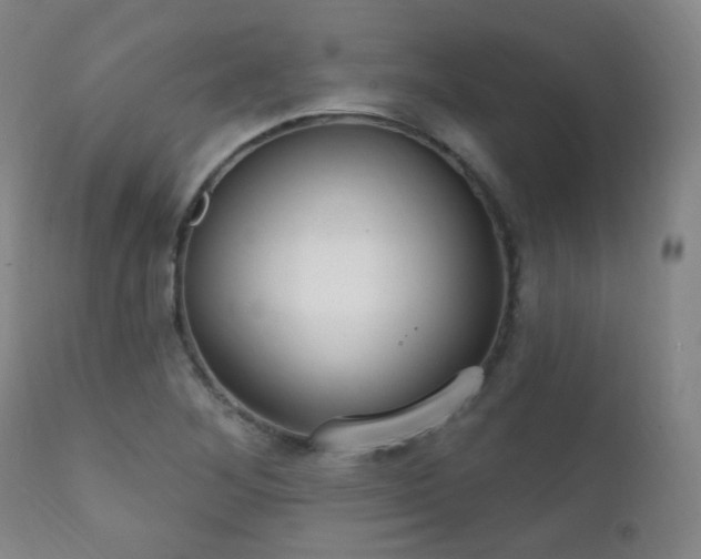 X0000111221268200907021326