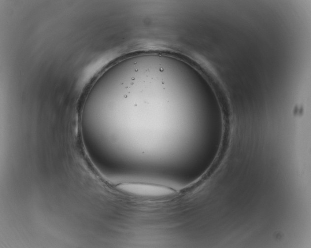 X0000111221269200907021326