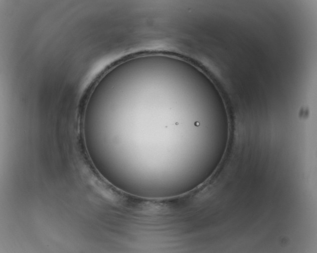 X0000111221270200907021326
