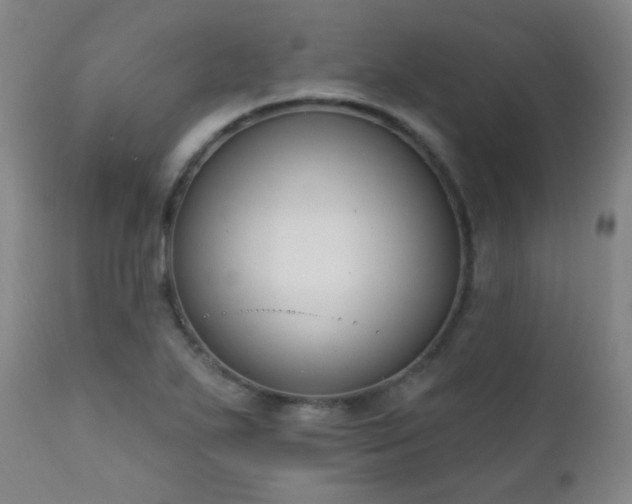 X0000111221271200907021326