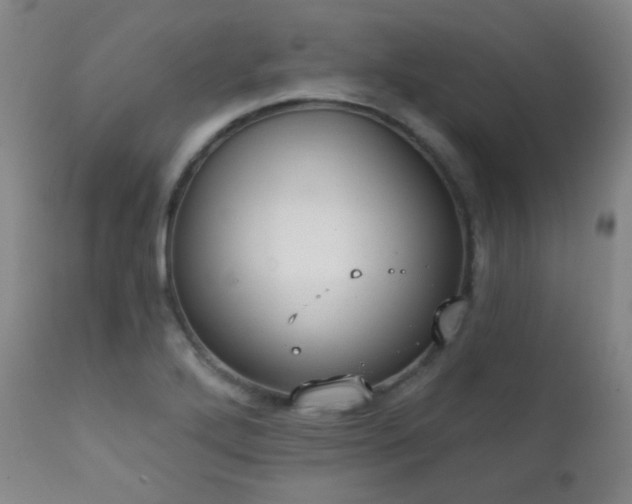X0000111221272200907021326