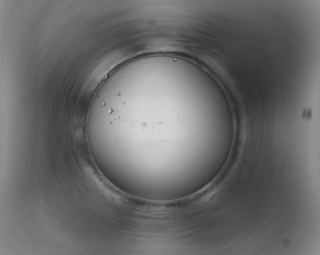 X0000111221273200907021326