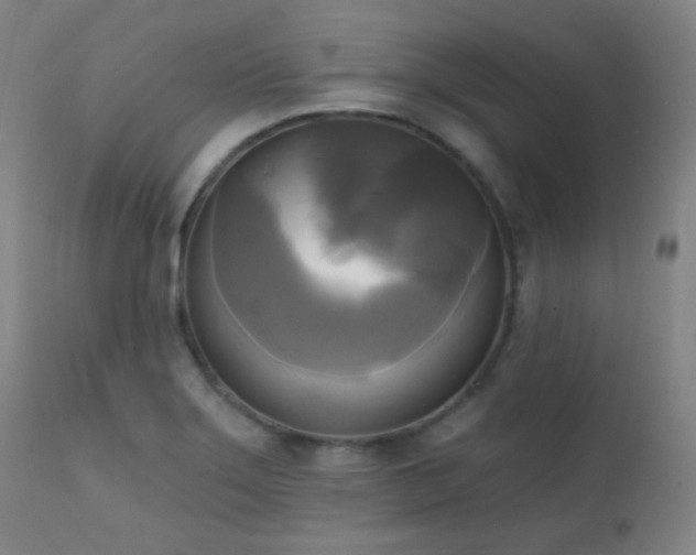 X0000111221275200907021326