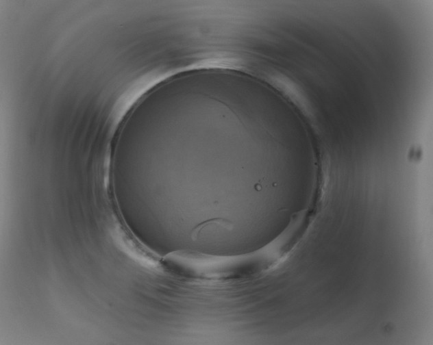 X0000111221276200907021326