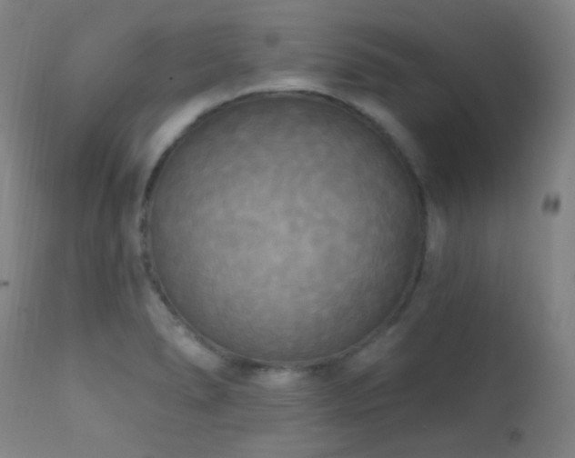 X0000111221278200907021326