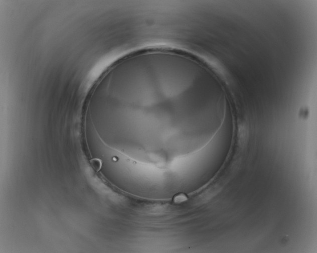 X0000111221279200907021326