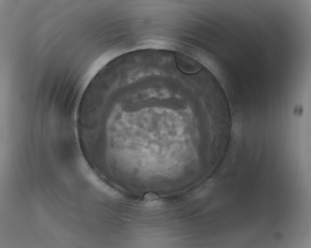 X0000111221283200907021326