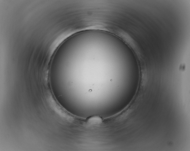 X0000111221284200907021326
