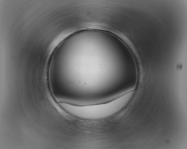 X0000111221285200907021326