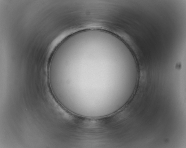 X0000111221286200907021326