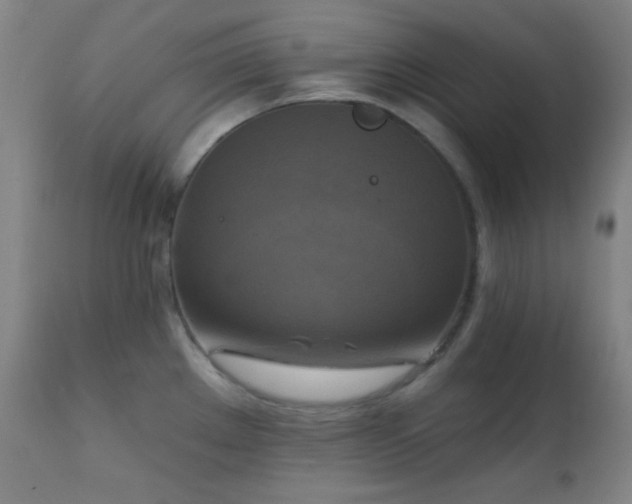 X0000111221289200907021326