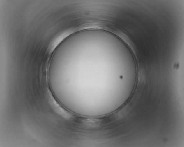 X0000111221290200907021326
