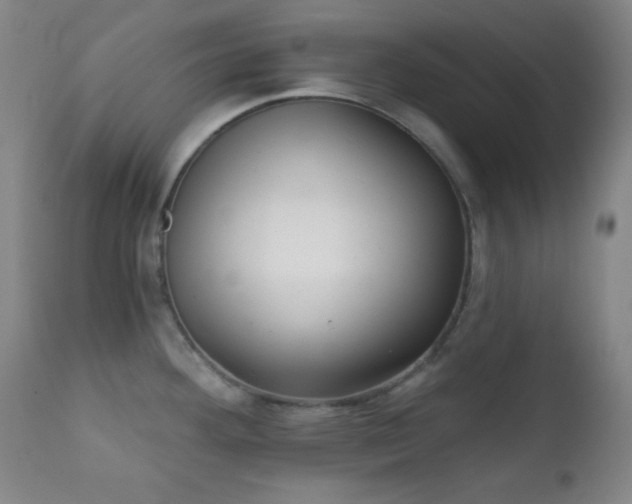 X0000111221292200907021326