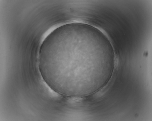 X0000111221294200907021326