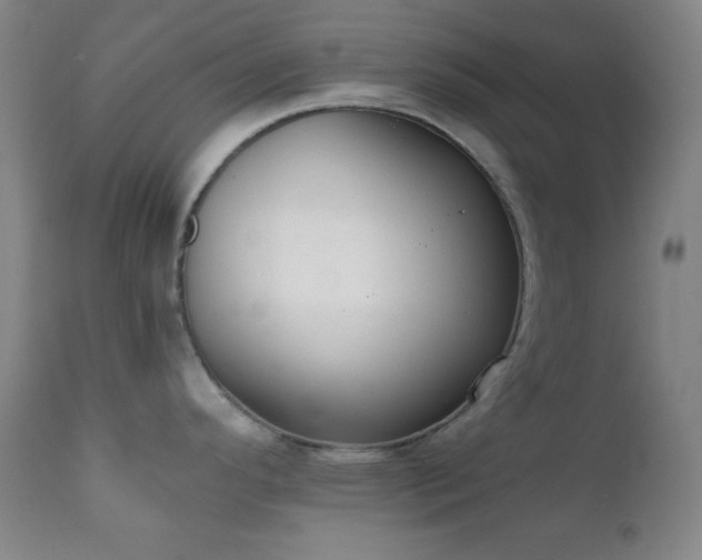 X0000111221296200907021325