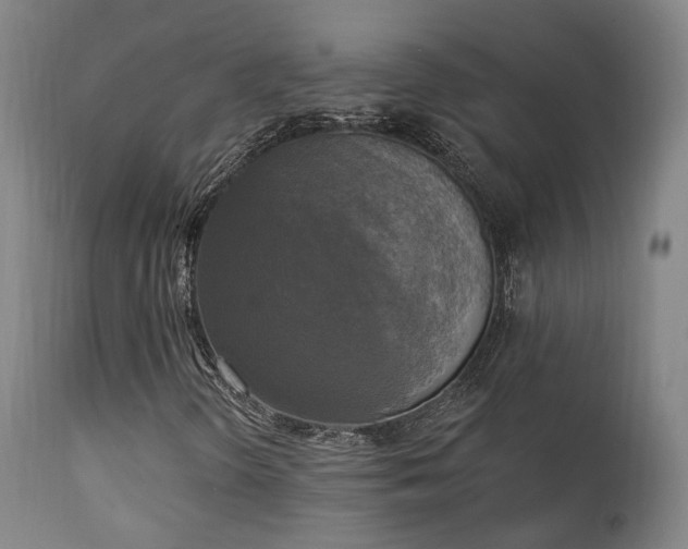 X0000111221298200907021324