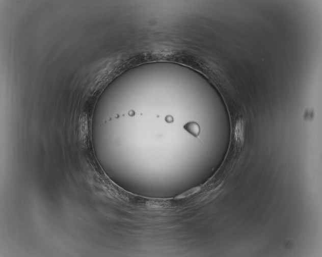 X0000111221299200907021325