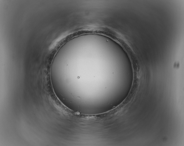 X0000111221304200907021325