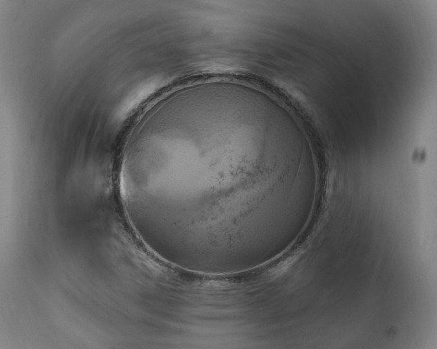 X0000111221306200907021325