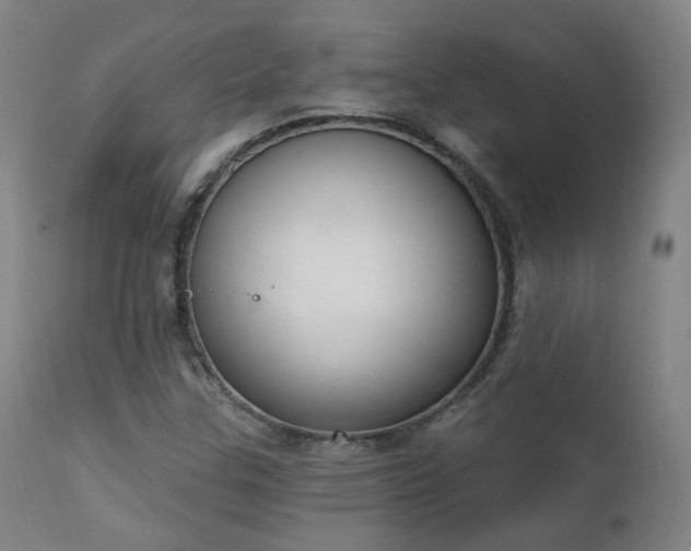 X0000111221307200907021325