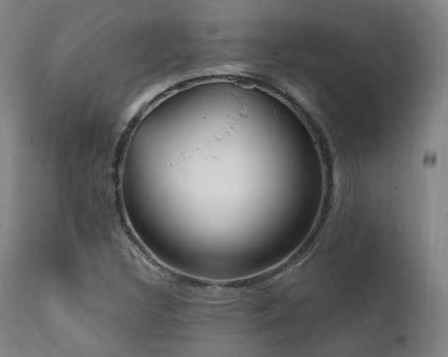 X0000111221308200907021325