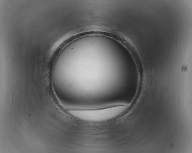 X0000111221310200907021325