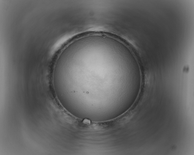 X0000111221311200907021325