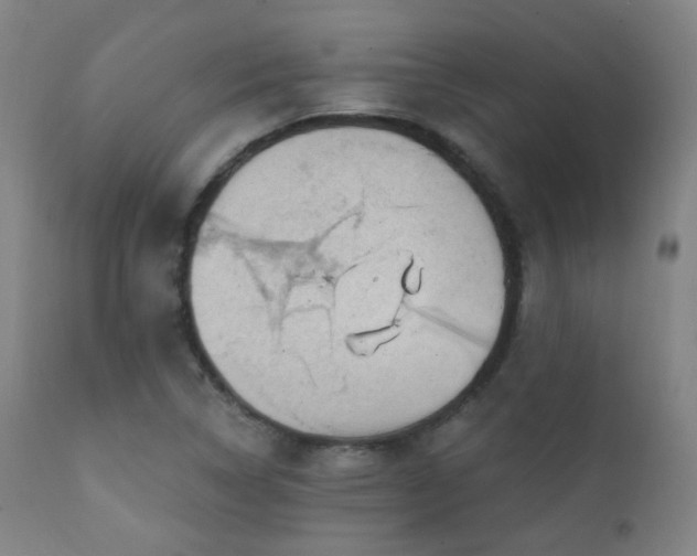 X0000111221314200907021325