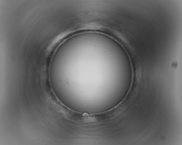 X0000111221315200907021325