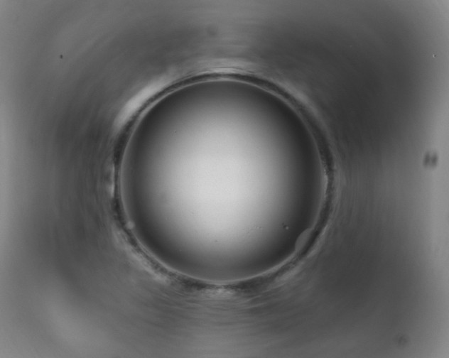 X0000111221317200907021325