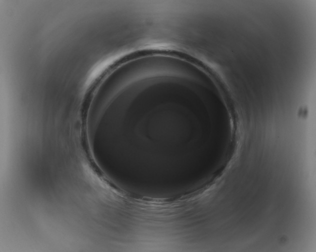 X0000111221319200907021325