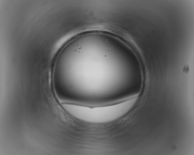 X0000111221320200907021325