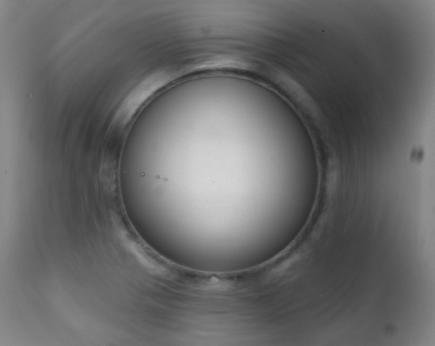 X0000111221321200907021325