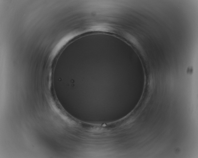 X0000111221323200907021325