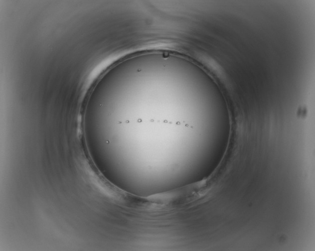 X0000111221324200907021325